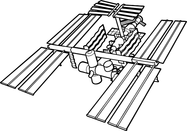 iss icon